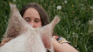 Eine junge Frau liegt im Gras. Sie streichelt den Kopf eines Schweins.