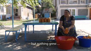 Frau sitzend vor Plastikbottichen voller Tomaten. Darunter steht: Aber nichts wuchs.