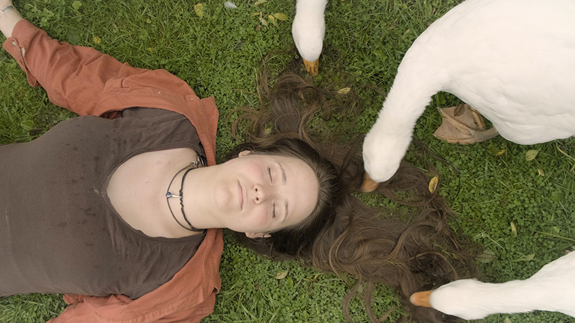 Eine junge Frau liegt mit geschlossenen Augen im Gras. Drei Gänse zupfen an ihren Haaren.