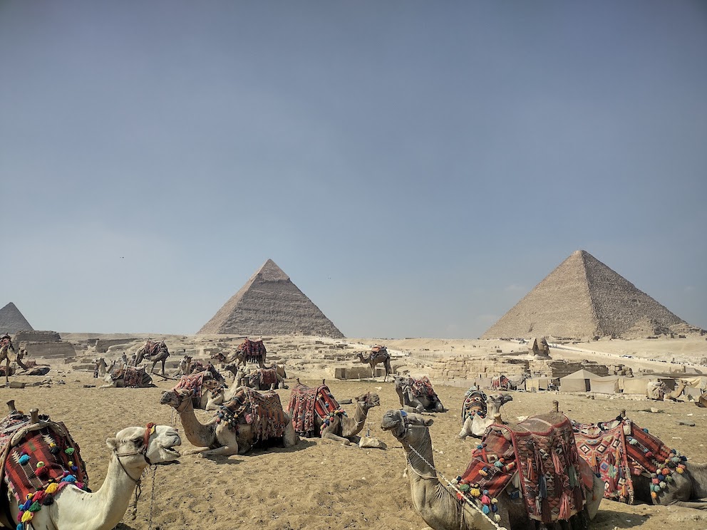 Kamele mit bunten Satteltaschen liegen im Sand vor Pyramiden.